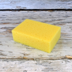 Bench Sponge