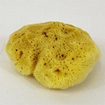 NATURAL SPONGE SILK 2