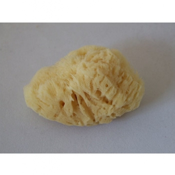 NATURAL SPONGE SILK 3