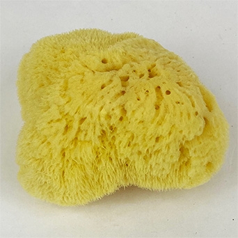 NATURAL SPONGE SILK 4