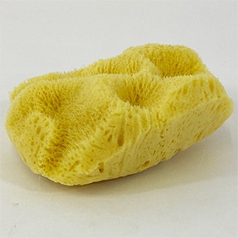 NATURAL SPONGE SILK 5